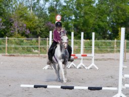 IMG_0475_web